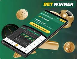 Experience the Thrill of Betting with BetWinner Betting Platform
